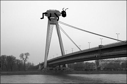 foto k příspěvku  od maxxR19