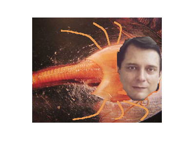 foto k příspěvku  od MaSuZaPi_Vašek