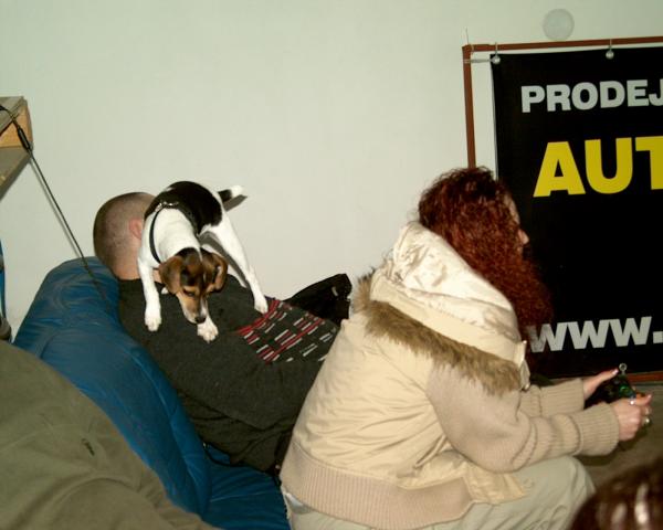 foto k příspěvku  od mad_max