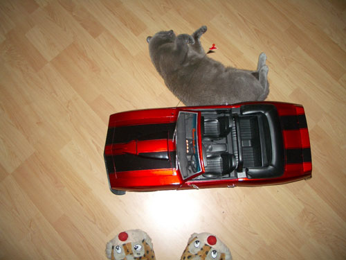 foto k příspěvku  od MarauderZ28