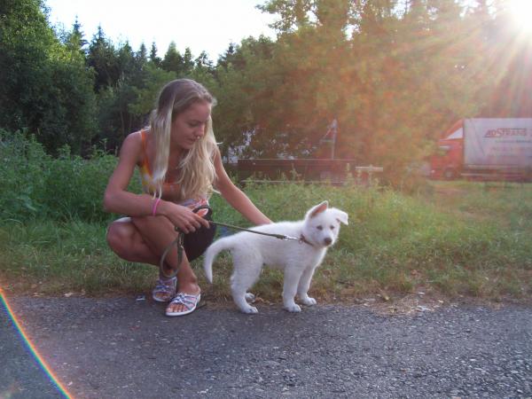foto k příspěvku  od Kallin