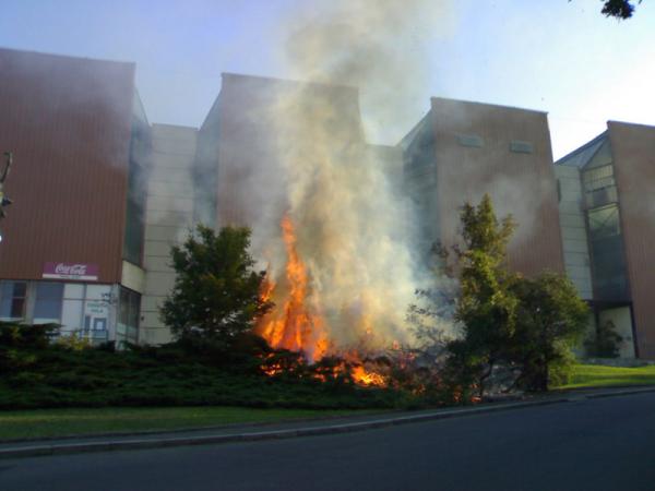 foto k příspěvku  od MarauderZ28