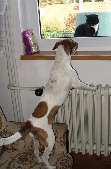 foto k příspěvku  od Katie