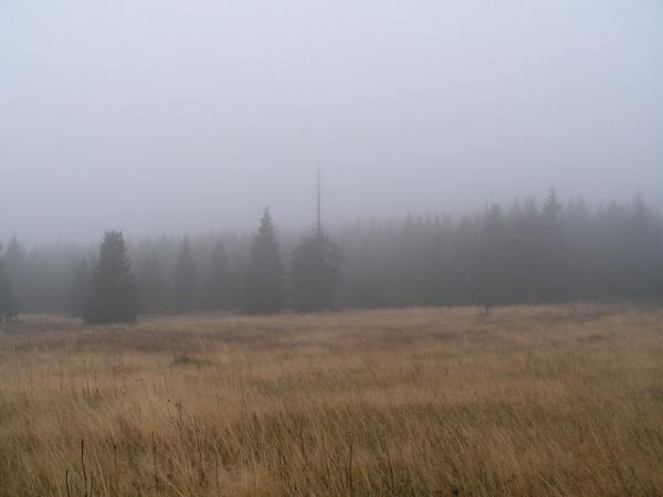 foto k příspěvku  od MAGIC-007
