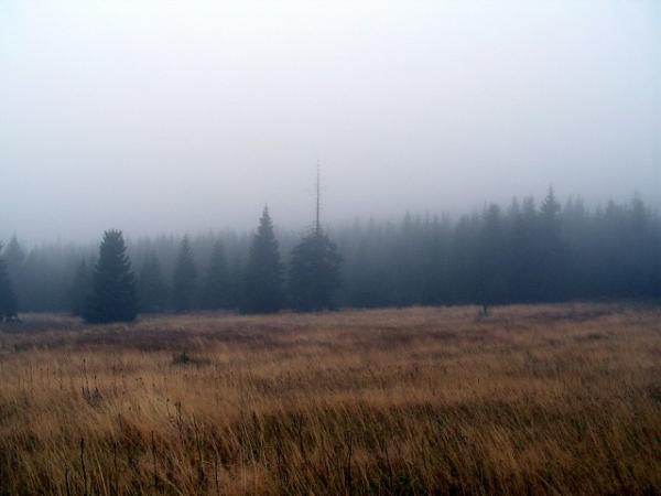 foto k příspěvku  od MAGIC-007