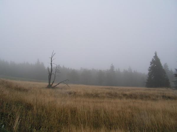 foto k příspěvku  od MAGIC-007