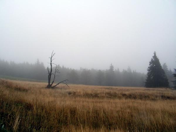foto k příspěvku  od MAGIC-007