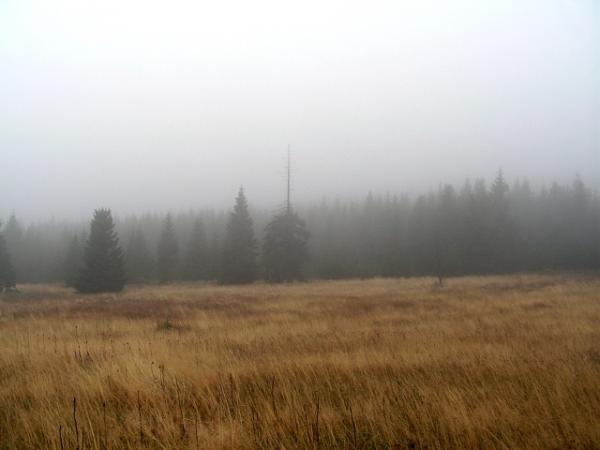 foto k příspěvku  od MAGIC-007