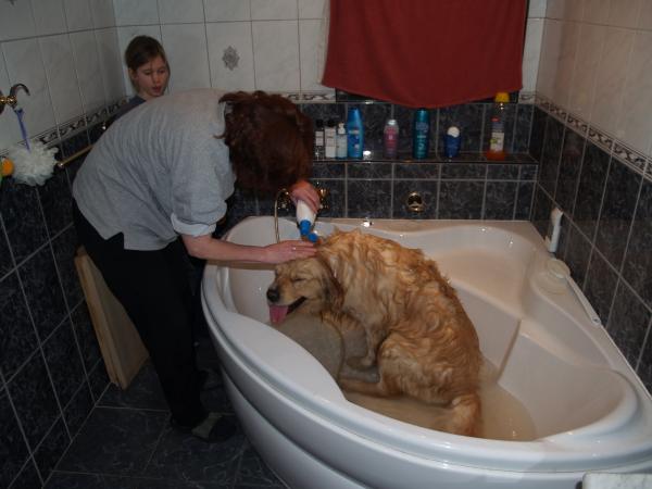 foto k příspěvku  od JR