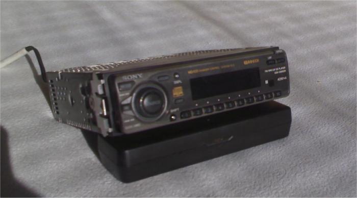 foto k příspěvku  od koren