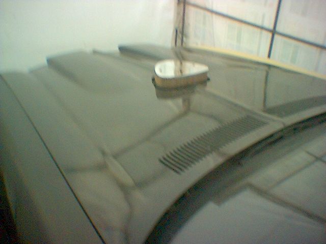 foto k příspěvku  od Nismo.Power
