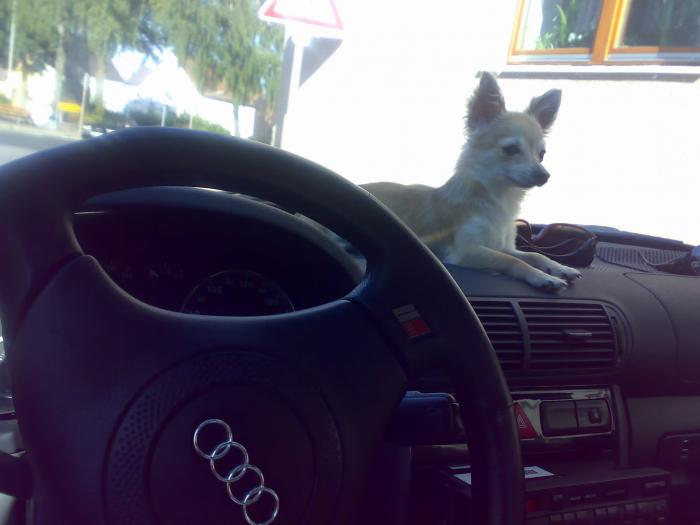 foto k příspěvku  od BekyCar
