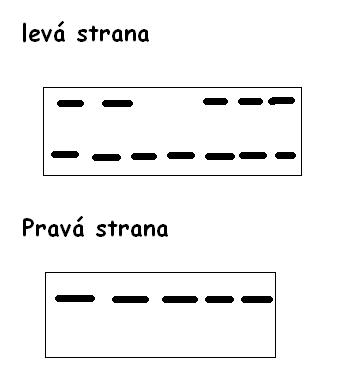 foto k příspěvku  od Zip