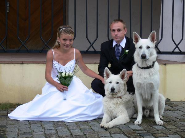 foto k příspěvku  od Kallin