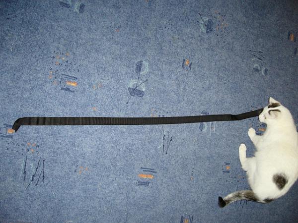 foto k příspěvku  od dolph