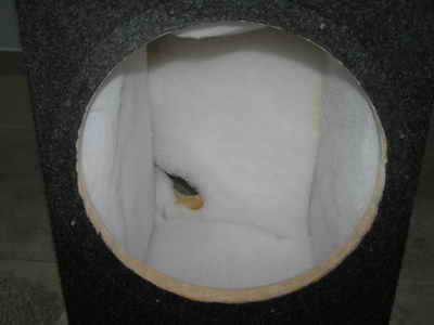 foto k příspěvku  od Rajdlos