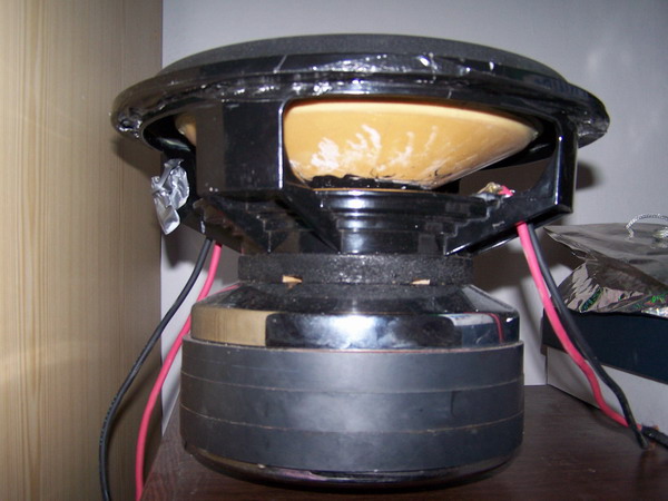 foto k příspěvku  od Aligátor