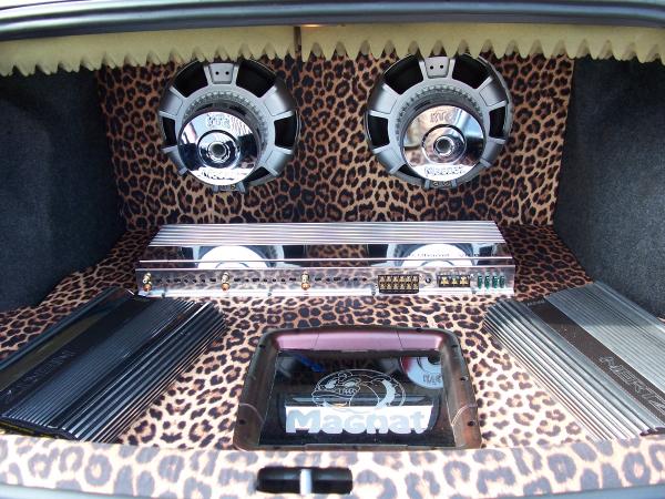 foto k příspěvku  od burak