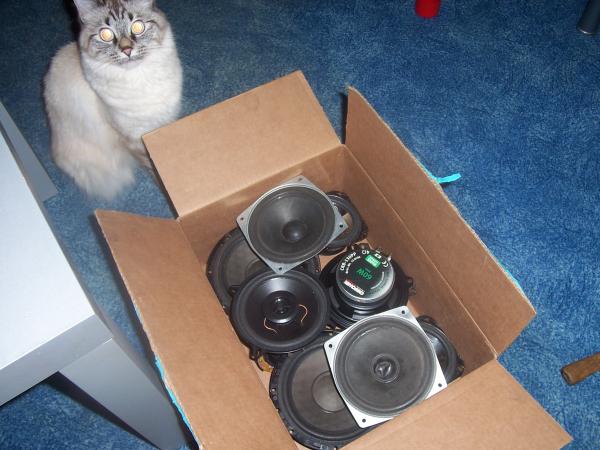 foto k příspěvku  od ddawe