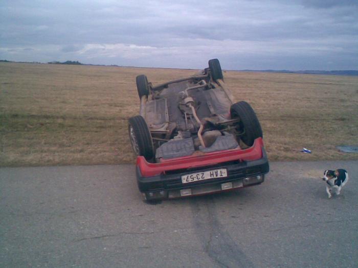 foto k příspěvku  od widlák85