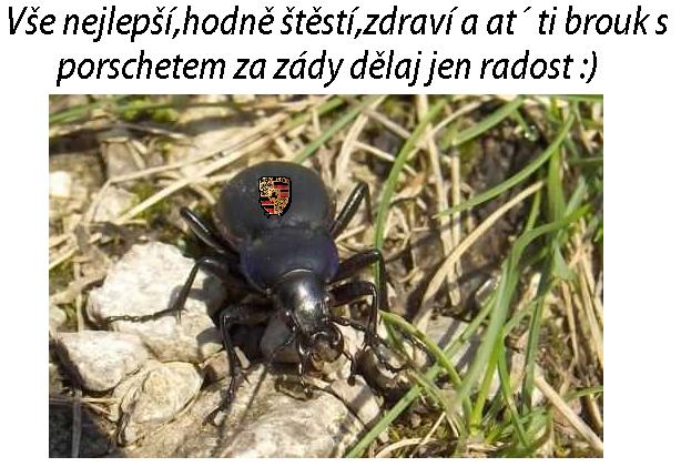foto k příspěvku  od H.E.R.O.