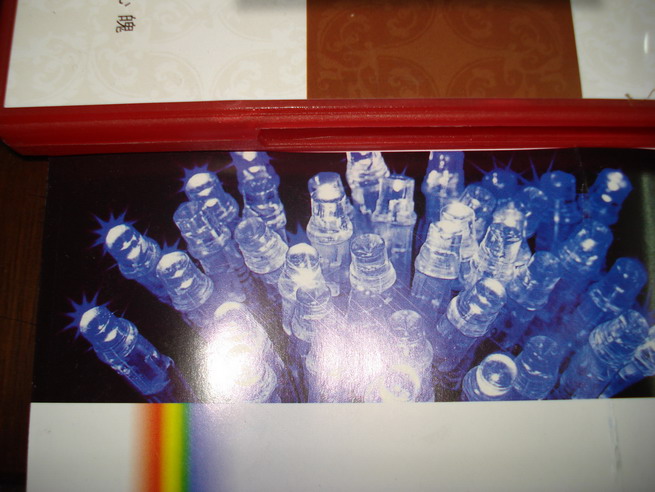 foto k příspěvku  od xenonman