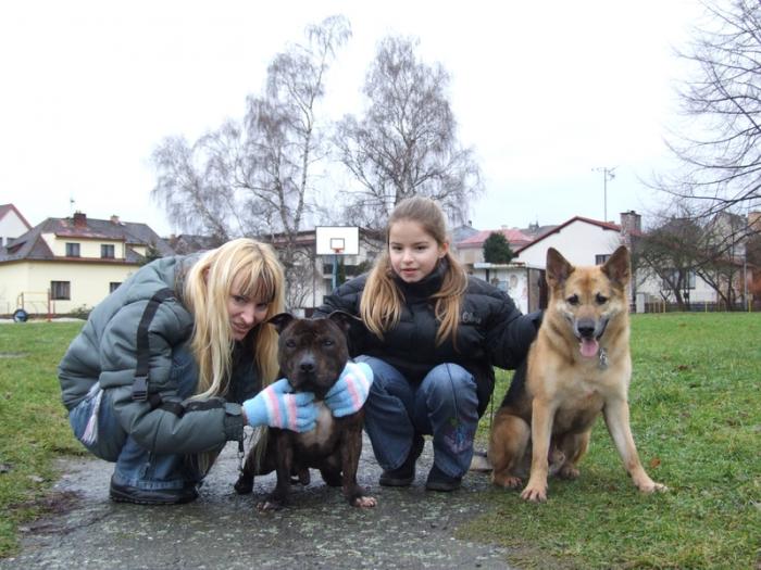 foto k příspěvku  od X-sat