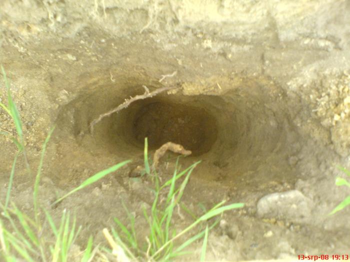 foto k příspěvku  od ACEMajky