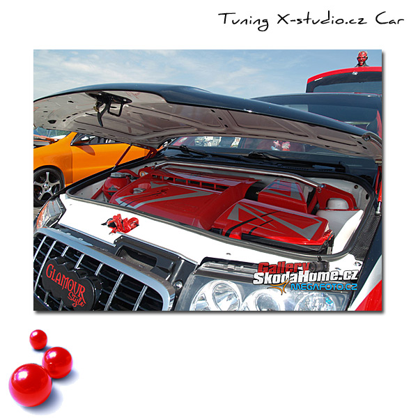 foto k příspěvku  od MAXXI