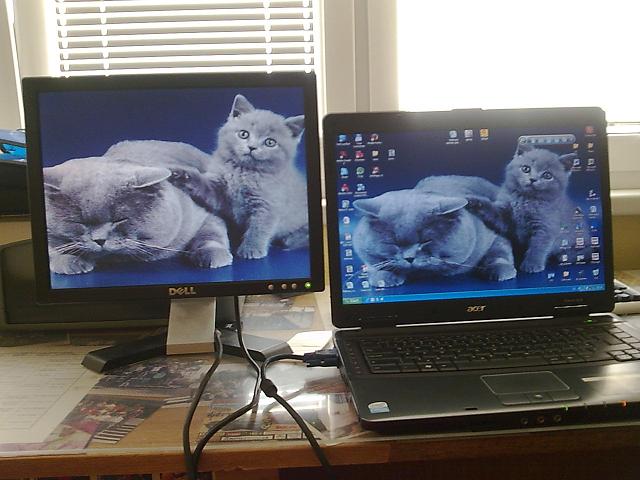 foto k příspěvku  od cendler