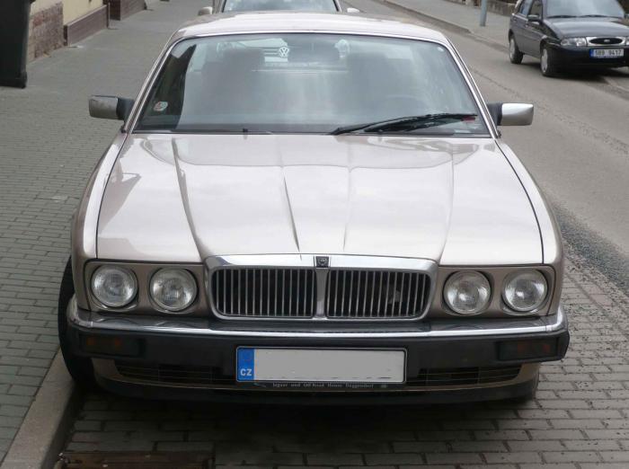 foto k příspěvku  od Steff