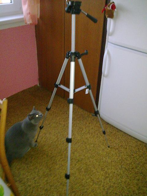 foto k příspěvku  od cendler