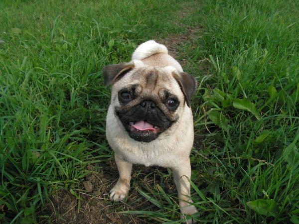 foto k příspěvku  od EFCA