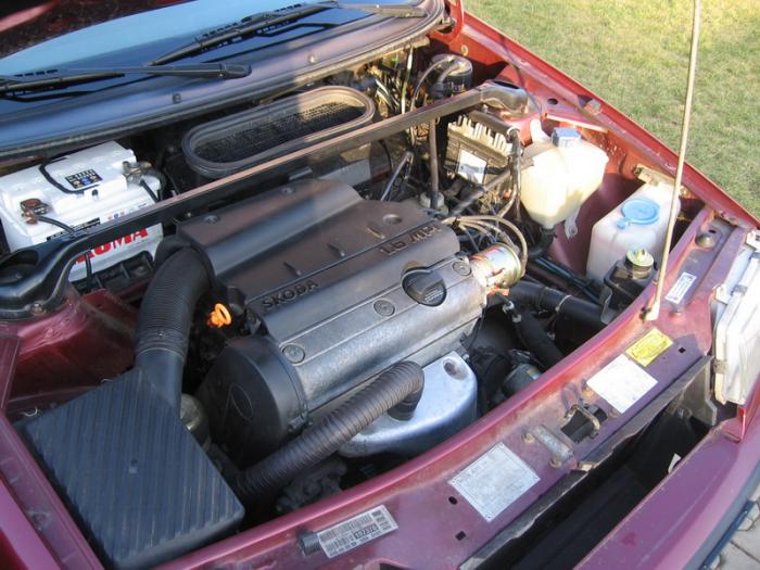 foto k příspěvku  od camron