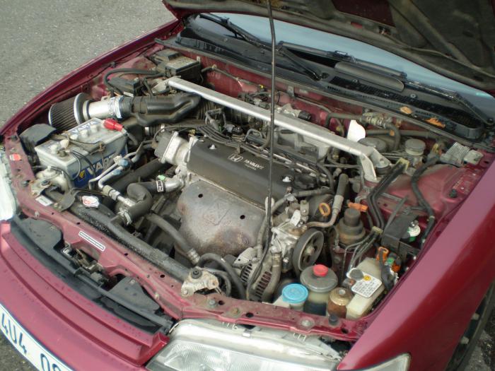 foto k příspěvku  od haskyvr6