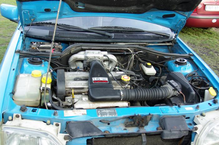 foto k příspěvku  od jdoizo