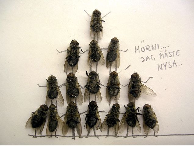 foto k příspěvku  od Rustapha-659