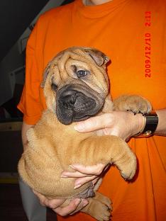 foto k příspěvku  od golfik69