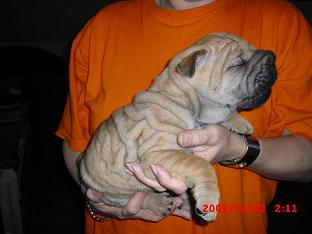 foto k příspěvku  od golfik69