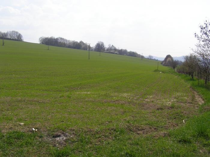 foto k příspěvku  od Flexar