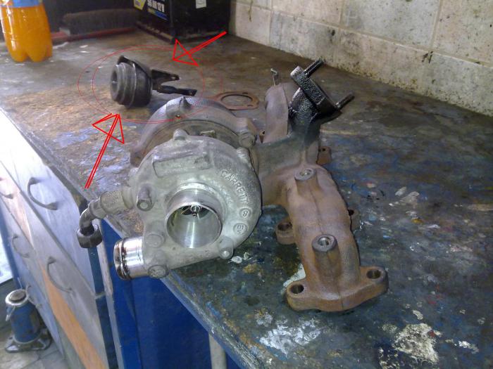 foto k příspěvku  od ALESS