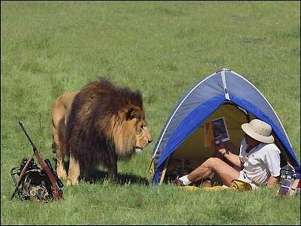 foto k příspěvku  od Thullo