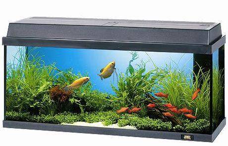 foto k příspěvku  od Antonio