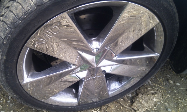 foto k příspěvku  od Aligátor