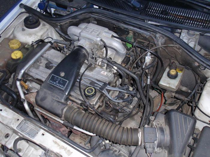 foto k příspěvku  od J.O.G.I