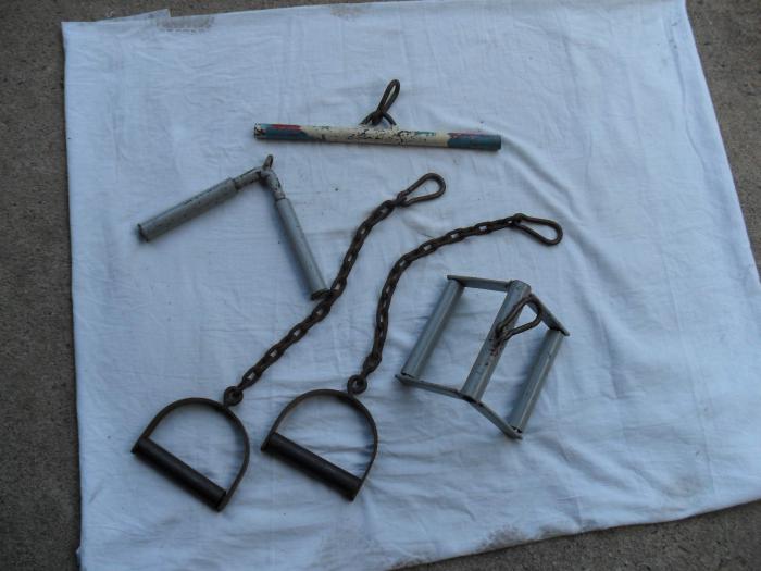 foto k příspěvku  od Knightey-