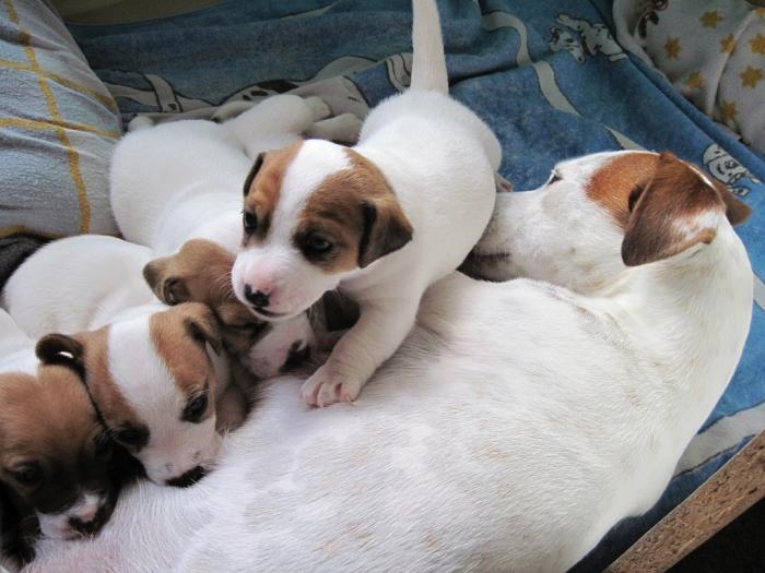 foto k příspěvku  od DiDa