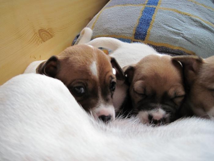 foto k příspěvku  od DiDa