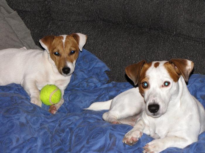 foto k příspěvku  od DiDa