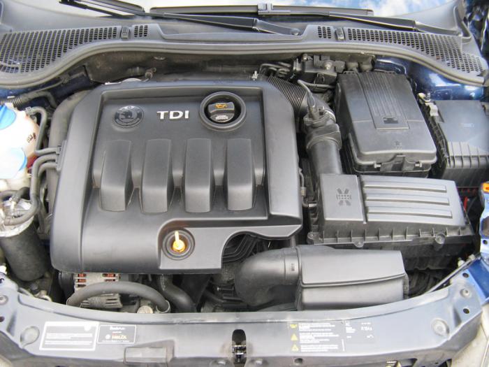 foto k příspěvku  od tykeev